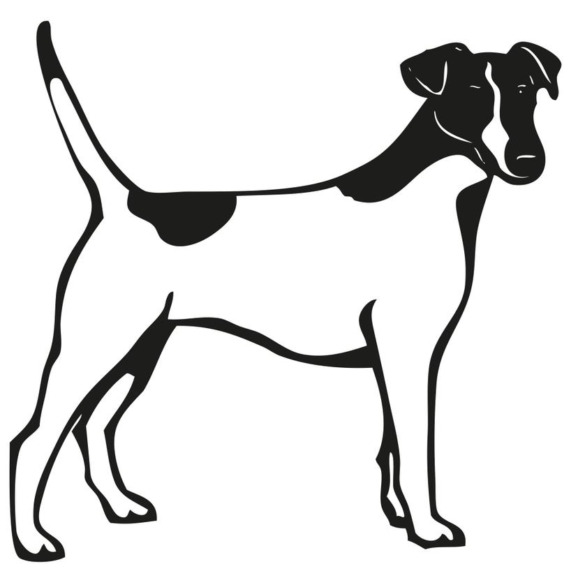 Fox terrier