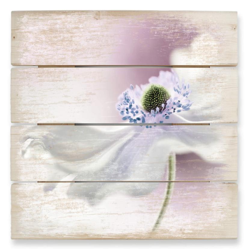 Cuadro de madera Disher - Anemone Breeze - 40x41,5 cm