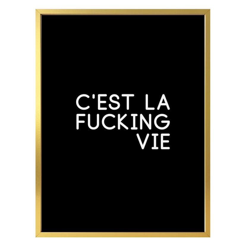 Póster C'est la fucking vie