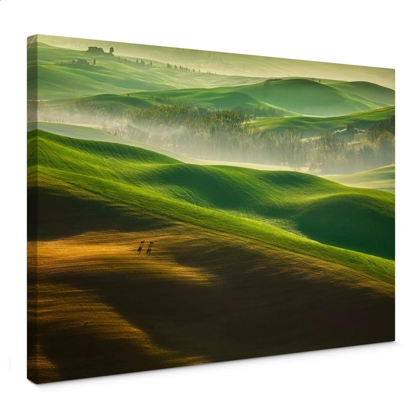 Tableau sur toile Browko - Prairies vertes
