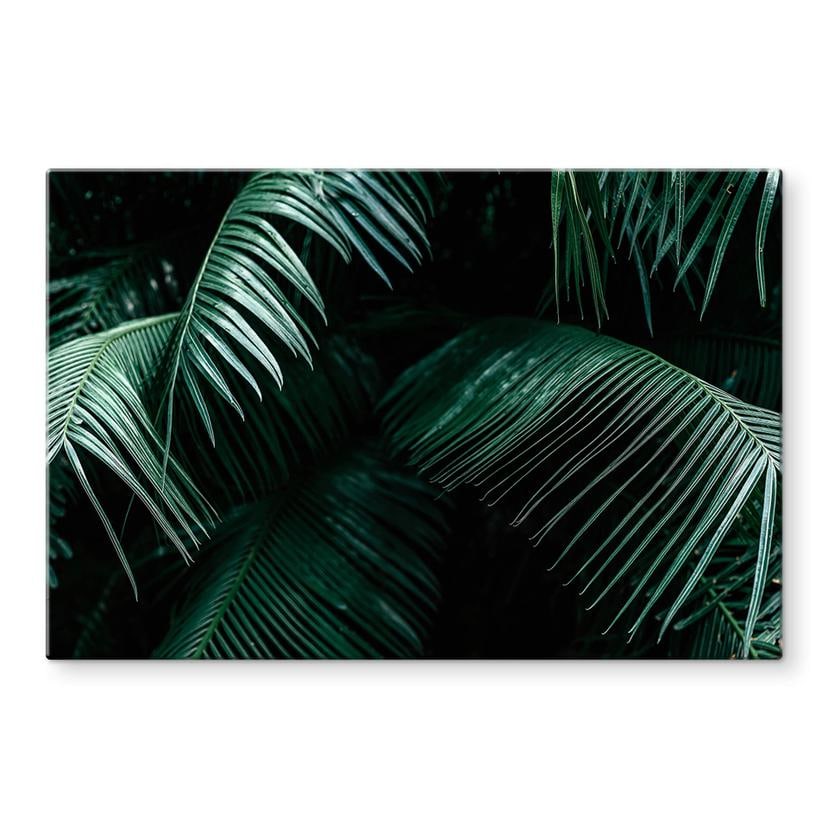 Tableau sur verre Botanique tropicale