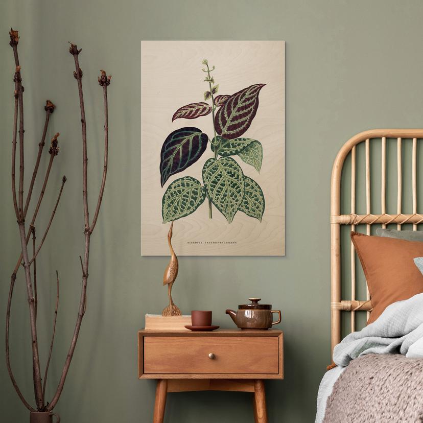 Stampa su legno Illustrazione di foglie - Bignonia Argyro Violascea