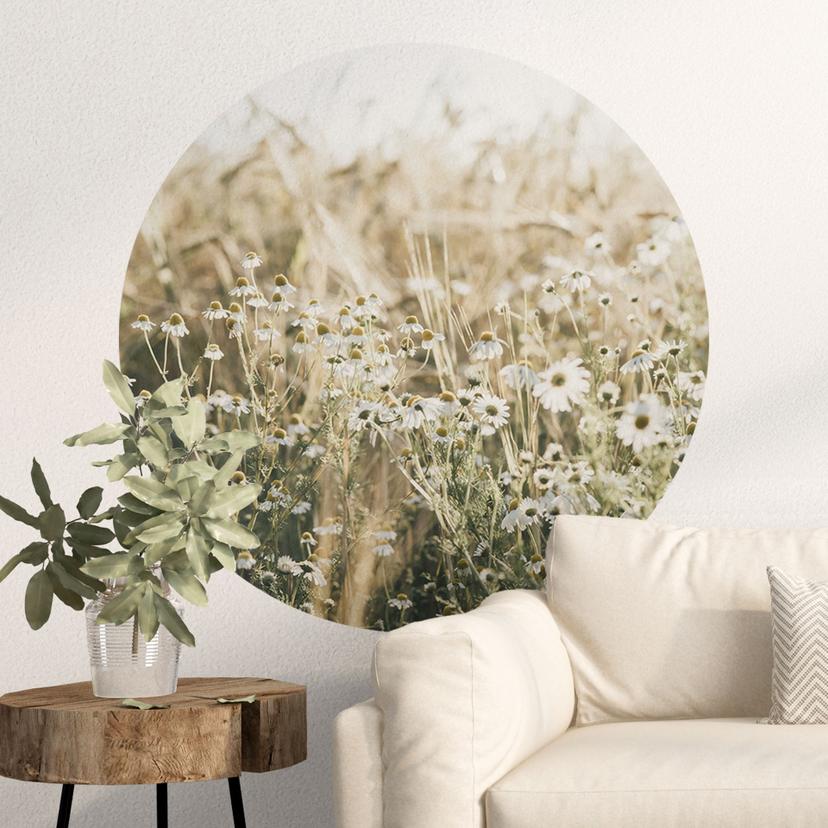 Wallsticker sommereng med kamille - Annie - Round