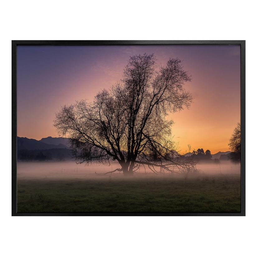 Plakat - Cuadrado - The Fog