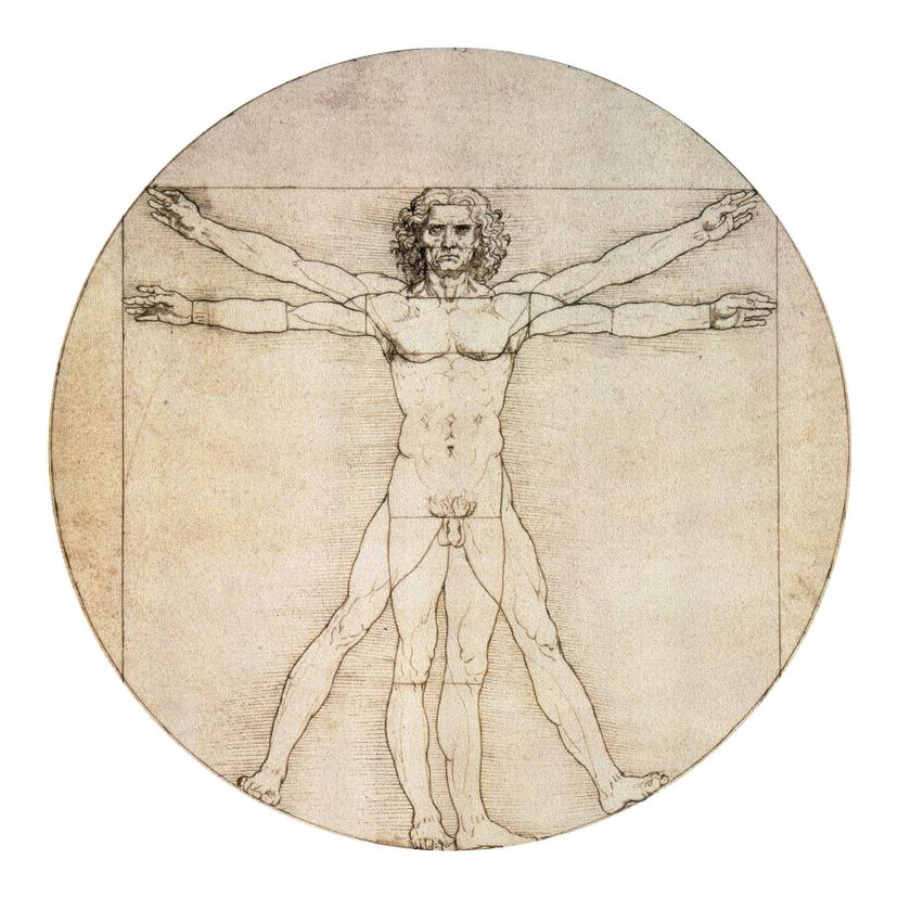 Sticker mural De Vinci - Etude des proportions - Rond