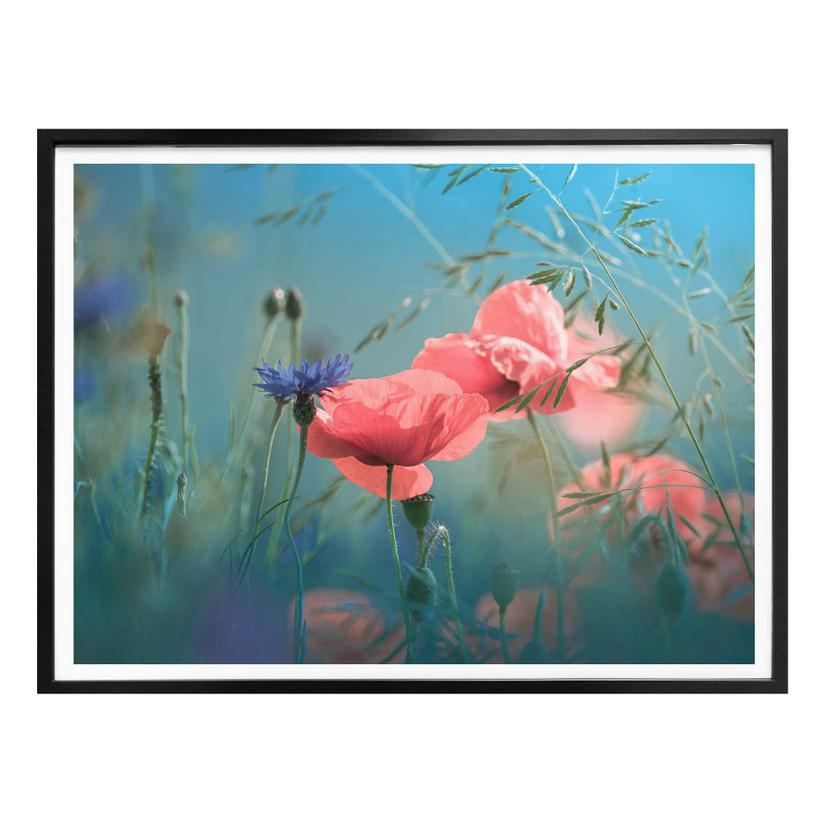 Póster Delgado - Flores silvestres Aguamarina