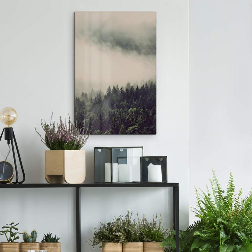Glasbild Nebel im Wald 02