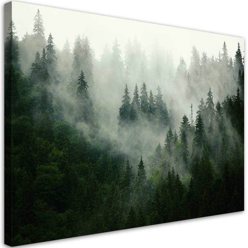 Canvasbillede, Skov i tåge