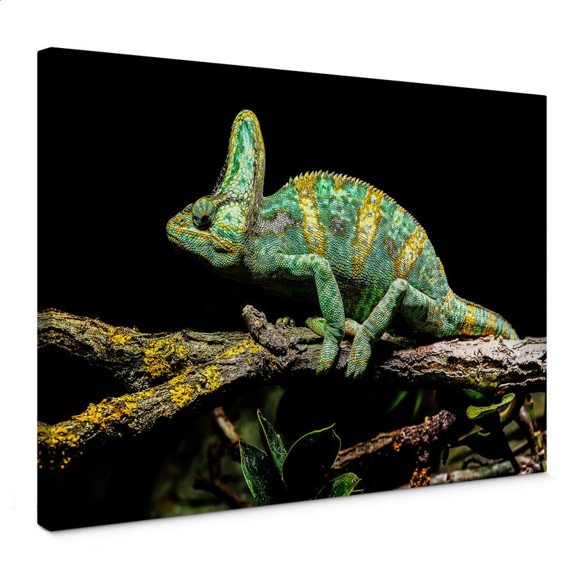 Tableau sur toile Brown - Caméléon