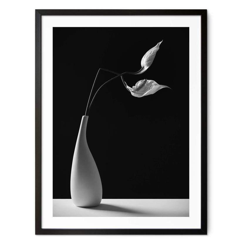 Póster Oveckova - Plantas en un jarrón blanco
