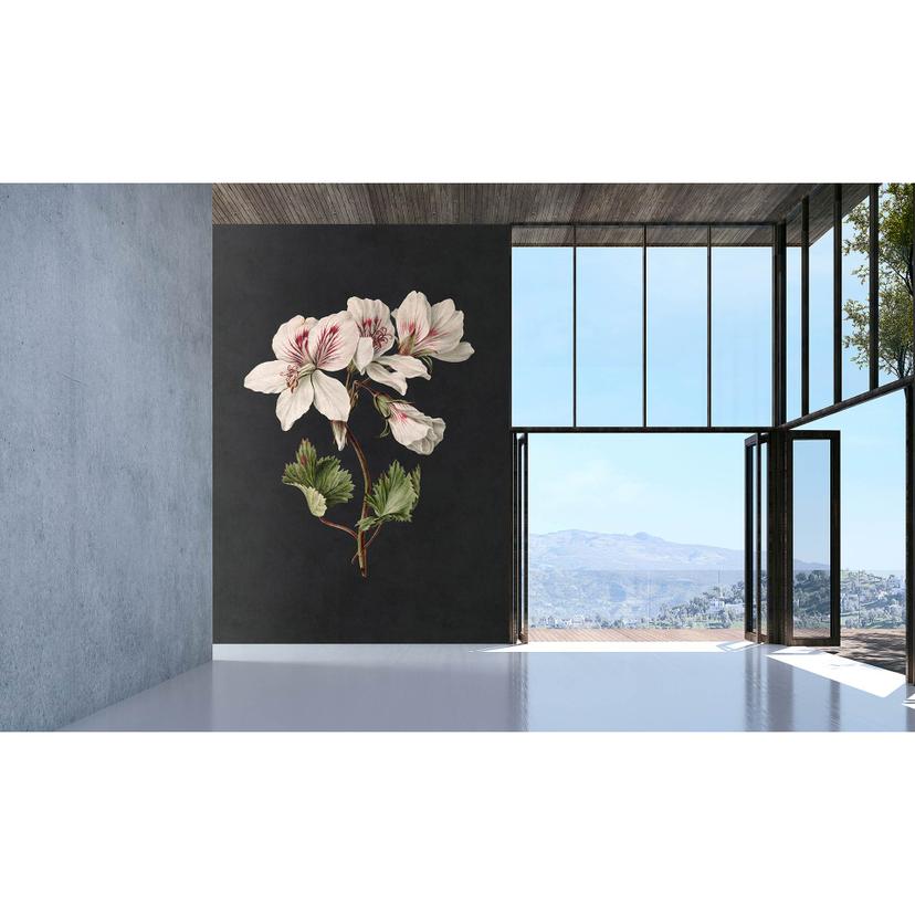 Livingwalls Fototapet Walls by Patel 3