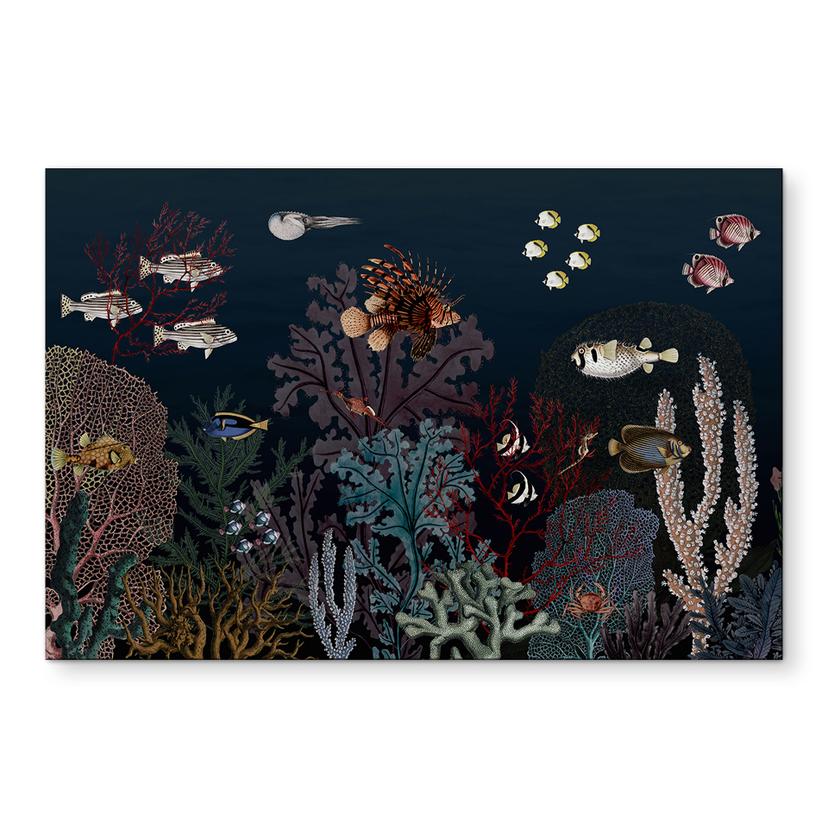 Tableaux Sir Edward - Au fond de l'océan - Alu-Dibond