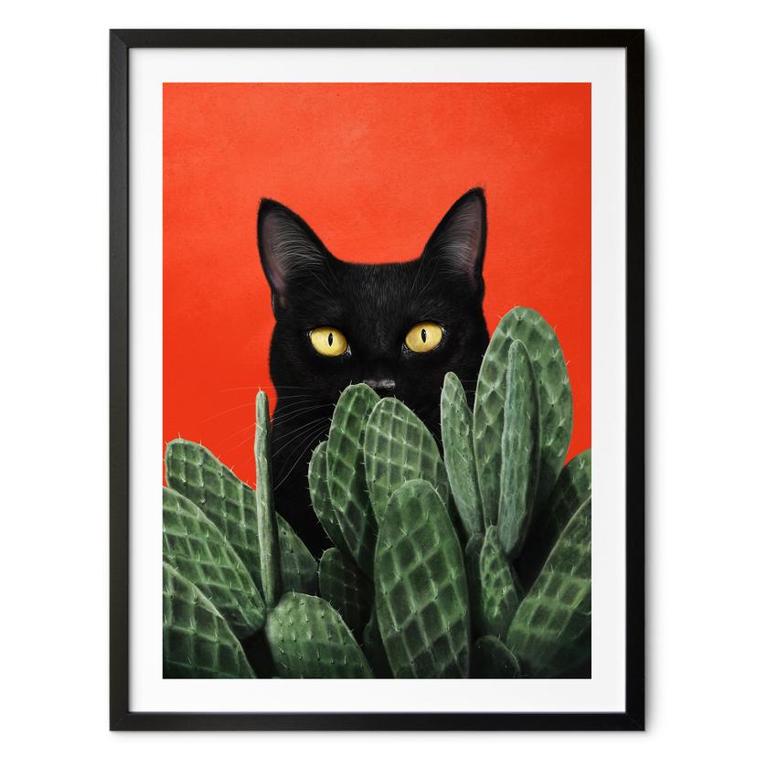 Poster Svart katt i kaktus-gömställe - Korenkova