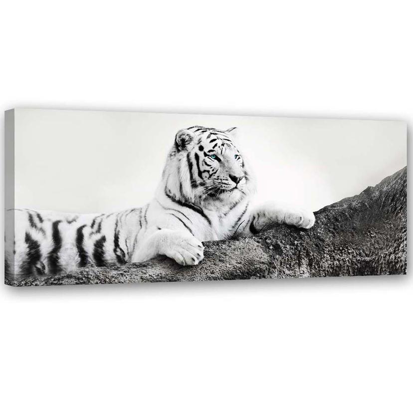 Canvasbillede, Tiger dyreliv natur
