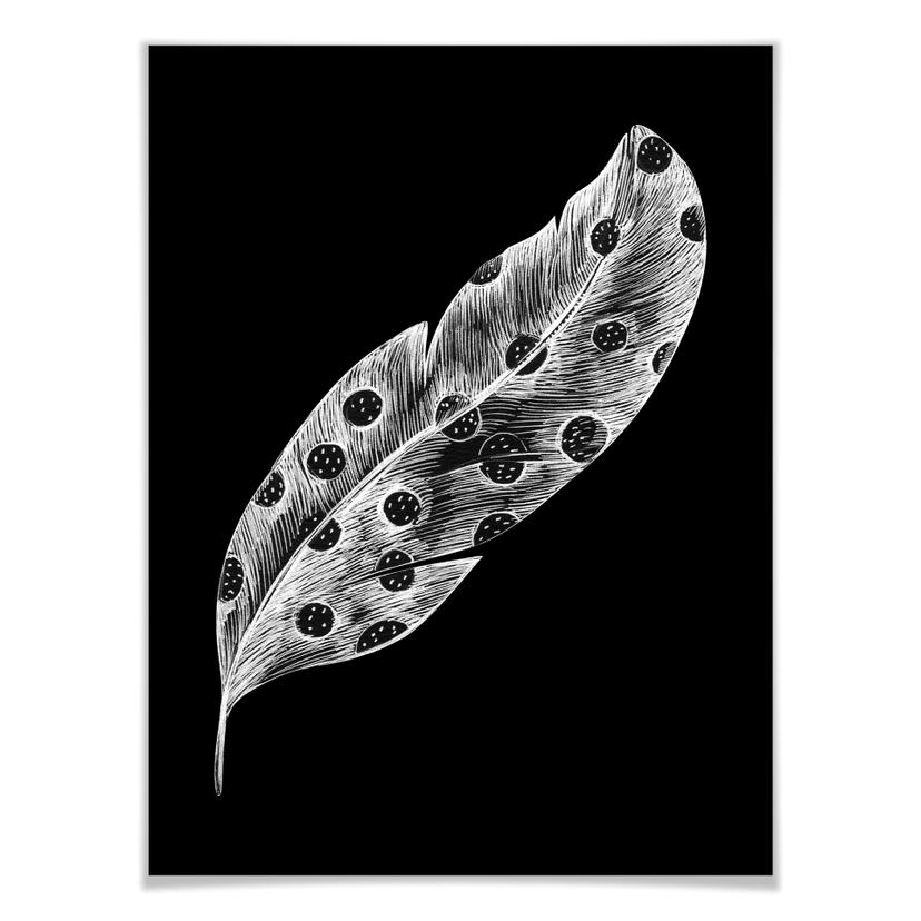 Poster - Kvilis - Piuma 02