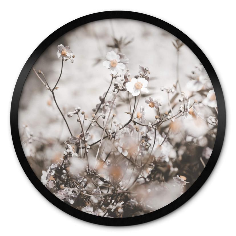 Plakat Annie - Wild Grass