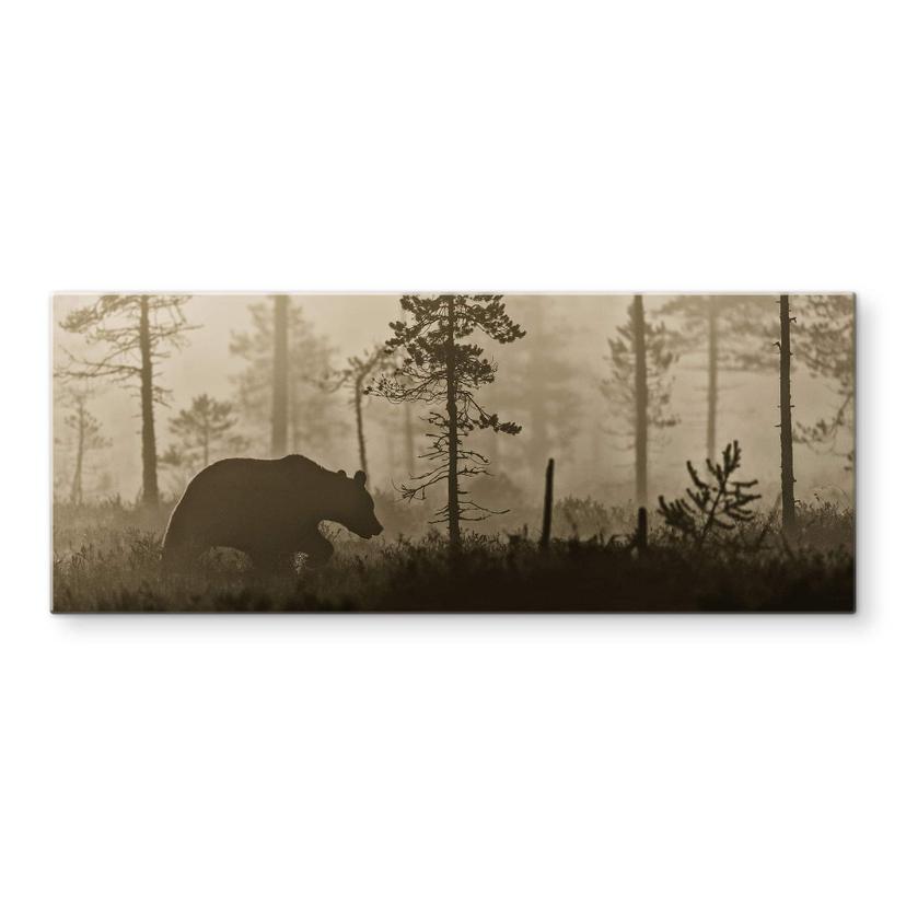 Pannello paraschizzi Ove Linde - Nebbia al mattino - panoramica