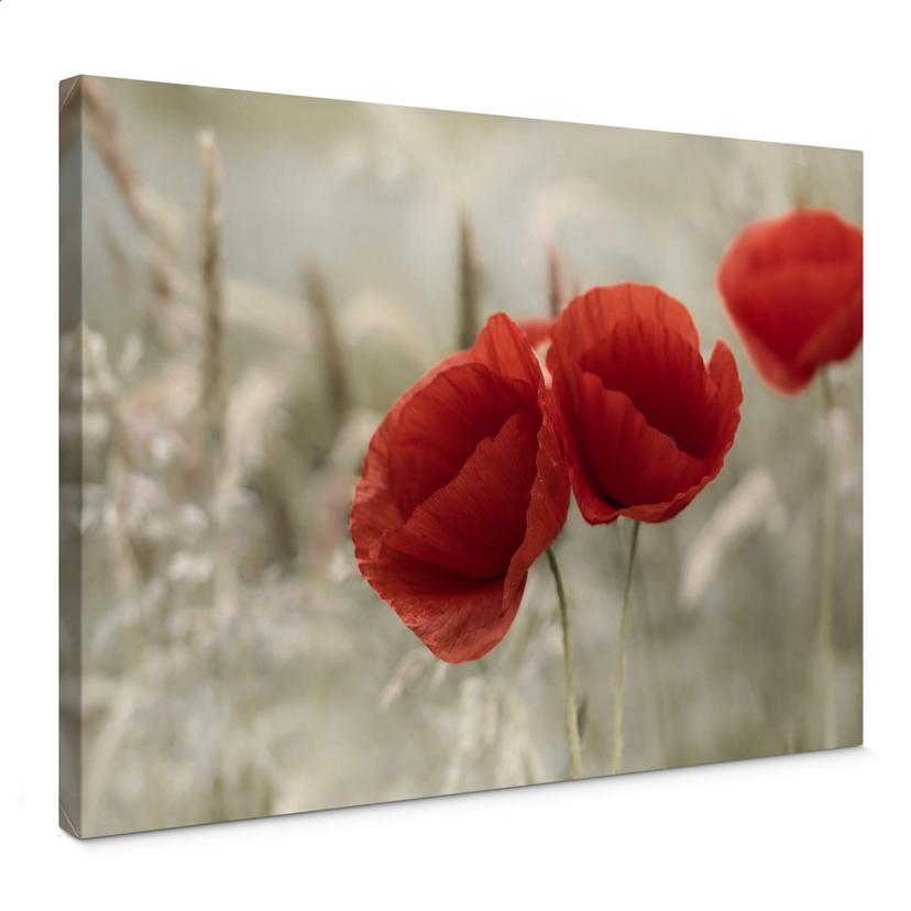 Tableau sur toile Delgado - Couple de coquelicots