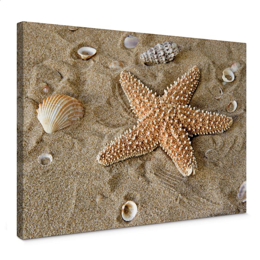 Tableau sur toile - Patrick l'Étoile de Mer