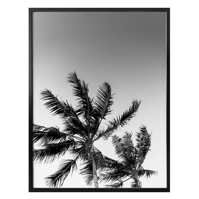 Póster Palmeras en tormenta