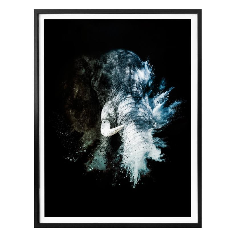 Póster Hugonnard - Explosión salvaje: Elefante
