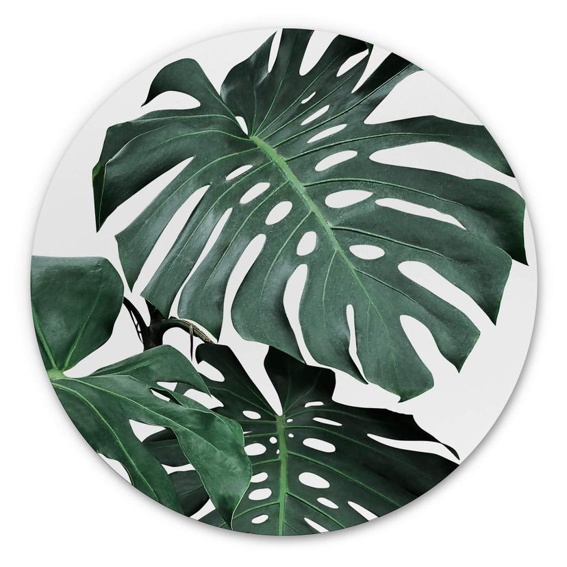Wandcirkel Sisi & Seb - Monstera