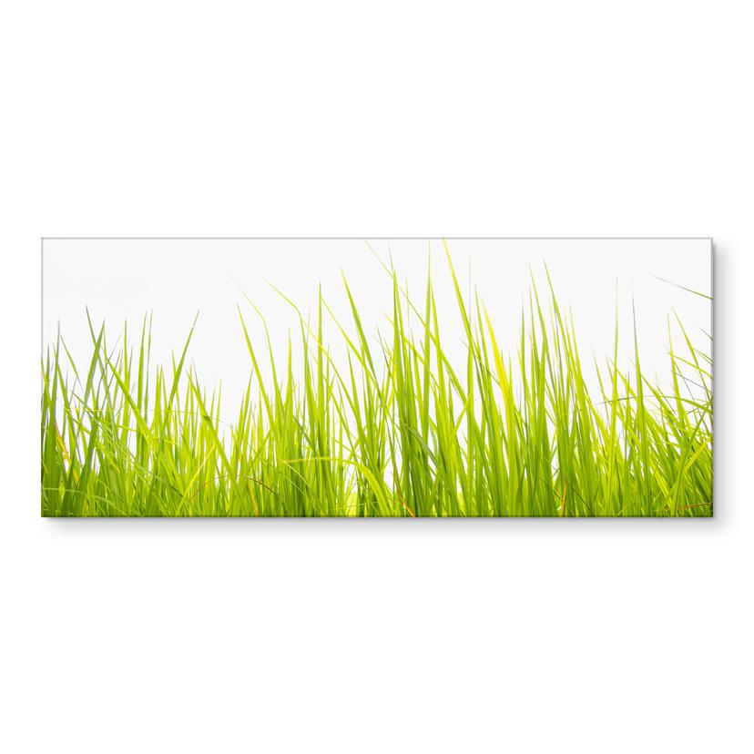 Küchenrückwand Hohes Gras