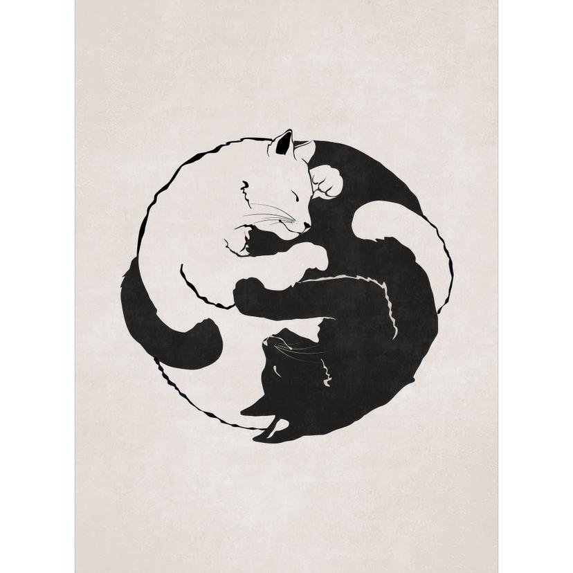 Fotomurale Gatti Ying & Yang - Tunaboylu