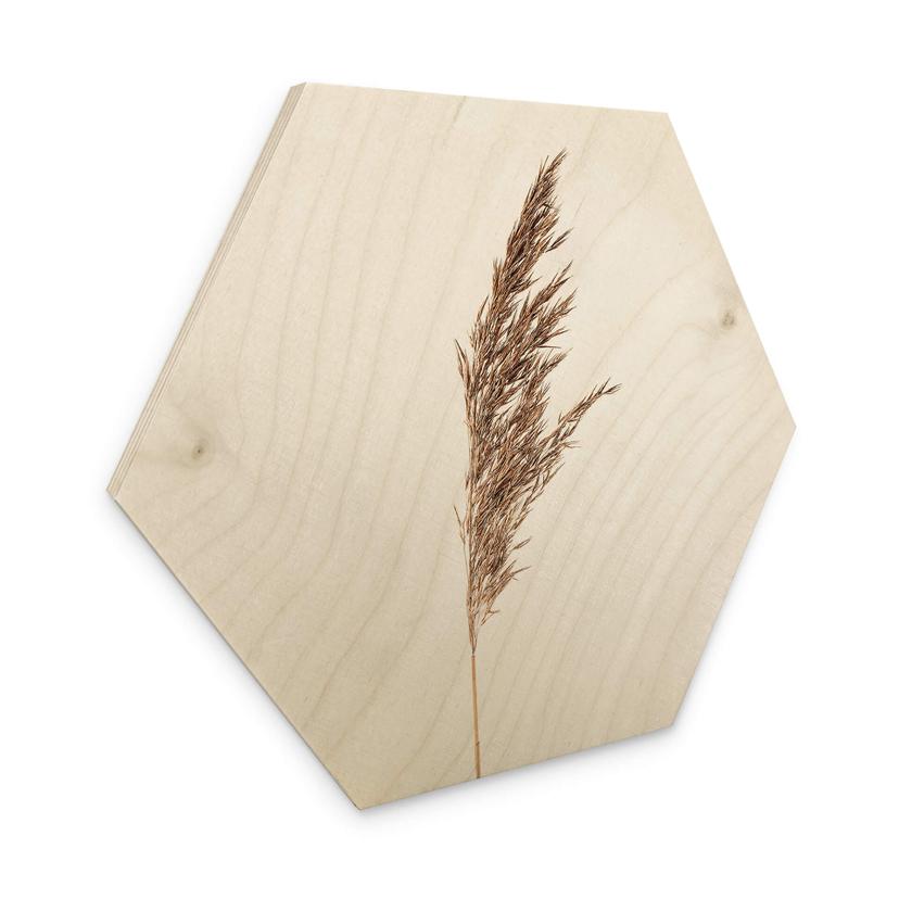 Hexagon Hout Siergras No. 1