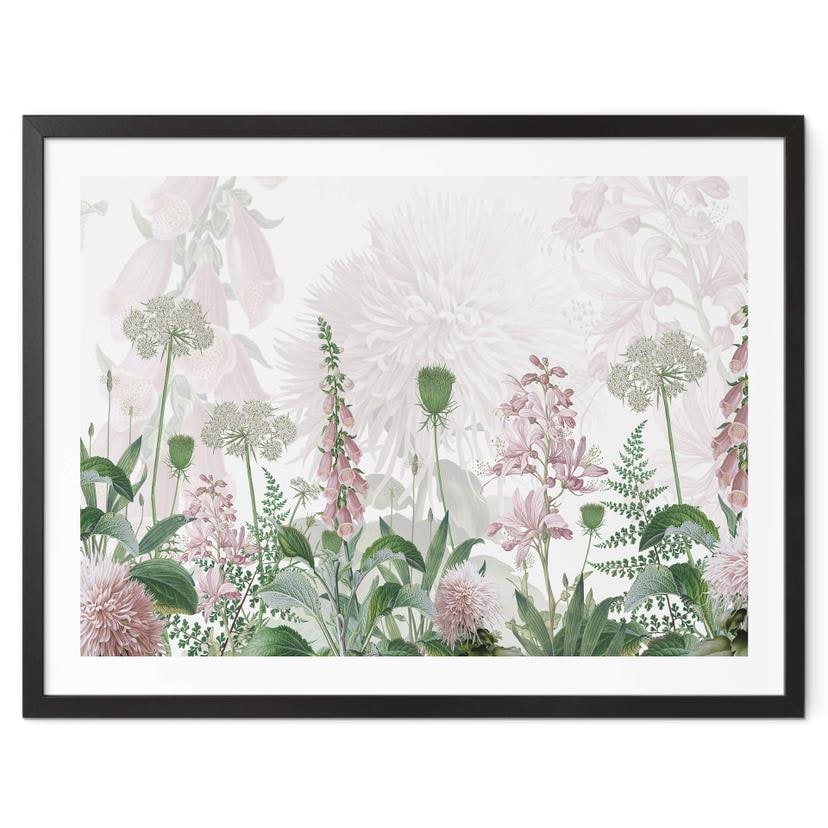 Póster Sir Edward - Dedalera rosa