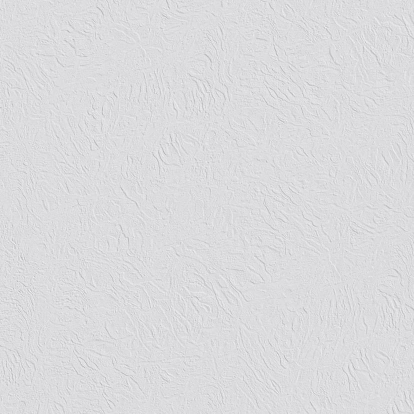 Carta da parati in tessuto non tessuto Erfurt Basic 100