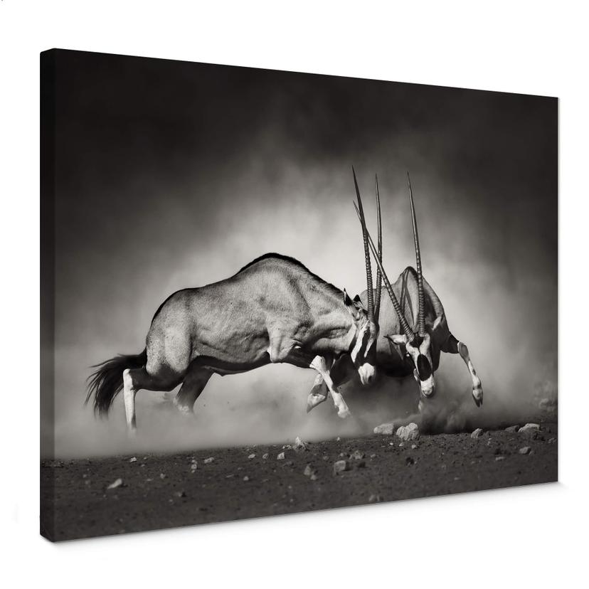 Tableau sur toile Le Duel
