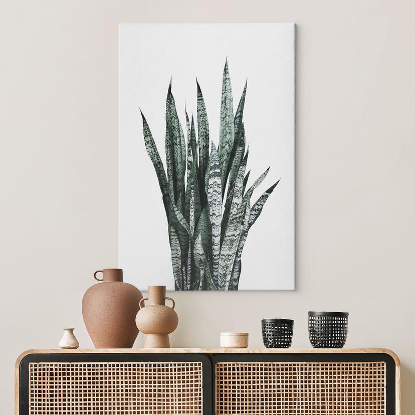 Tableau sur toile Plante - Sisi & Seb