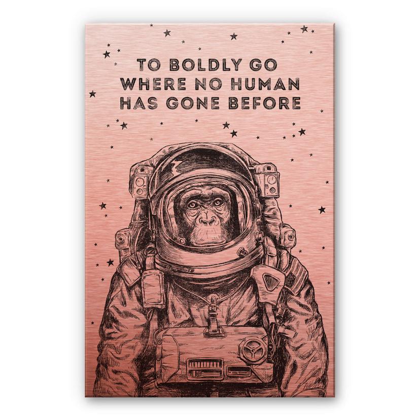 Alu-Dibond Kopereffect – To boldly go…