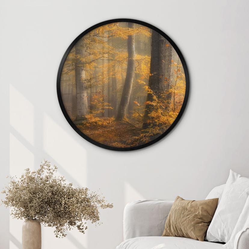 Poster Foglie d'oro in una foresta nebbiosa - Maier - Tondo