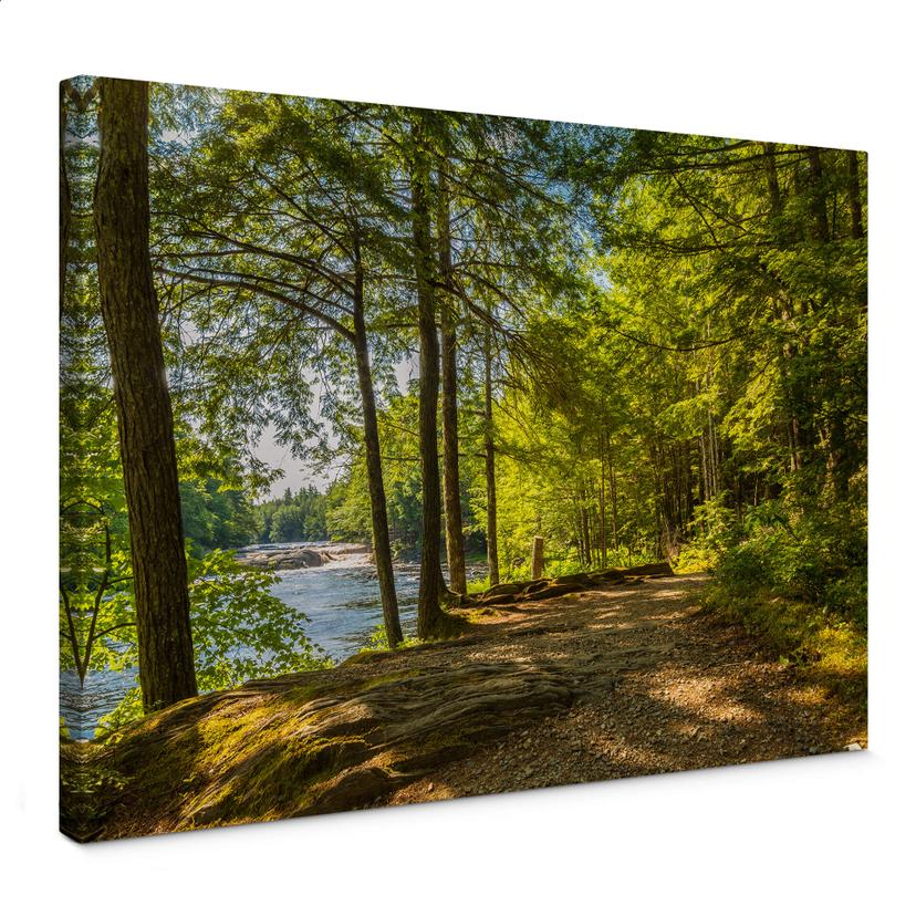 Tableau sur toile Sentier au bord de l'eau