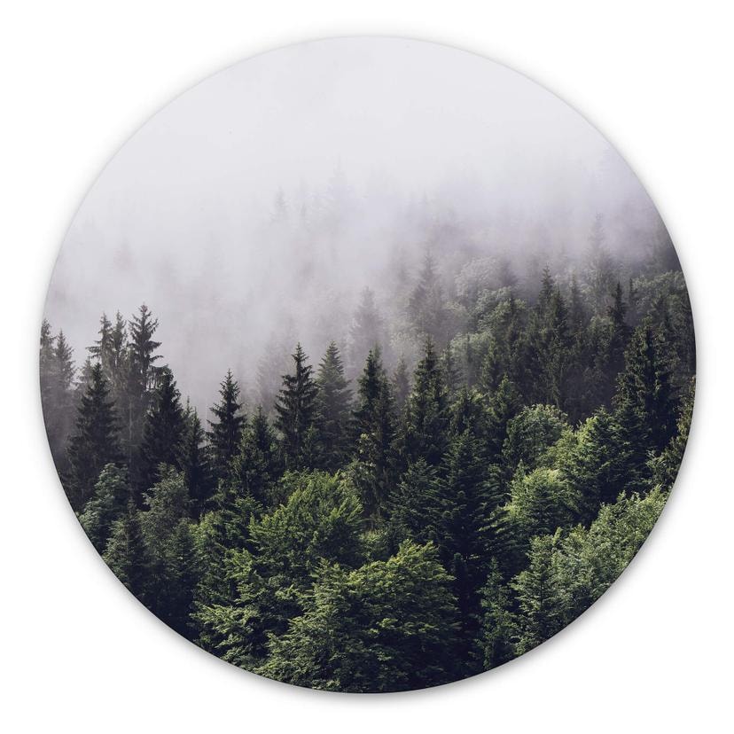 Stampa su Alu-Dibond - Nebbia