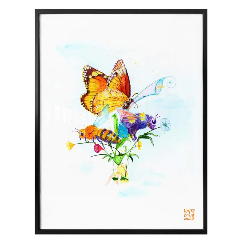 Plakat - Buttafly - Pollenbærere