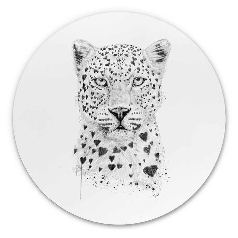 Wandcirkel Solti - Loving Leopard