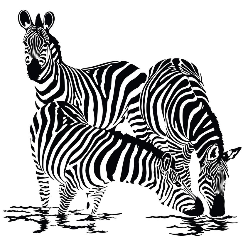Adesivo murale - Zebre 2
