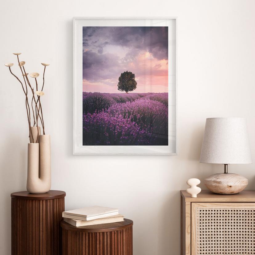 Poster Campi di lavanda viola al tramonto - Cevik
