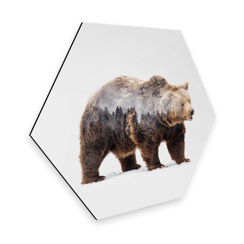 Hexagon - Alu-Dibond - Beáta - The Bear