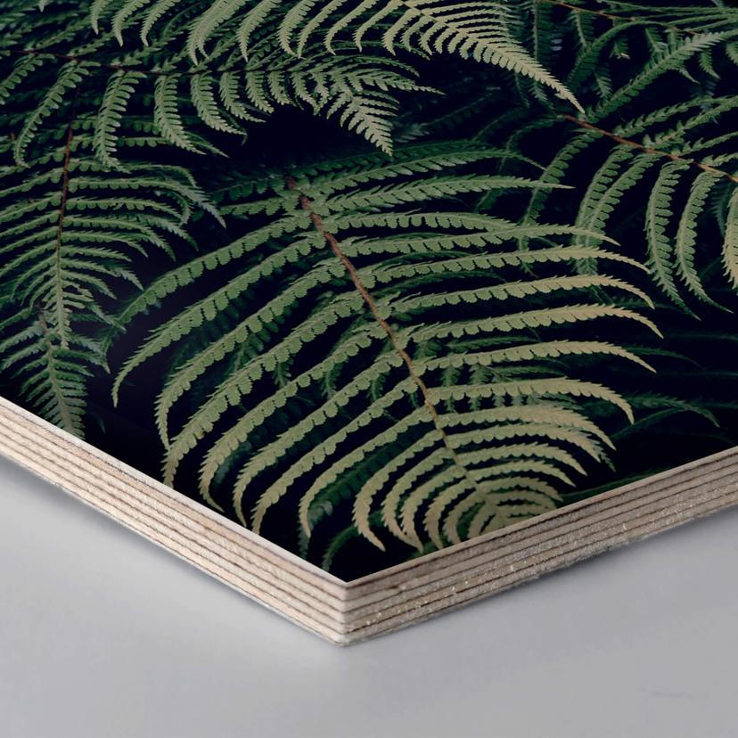 Esagoni in legno – Felce 02