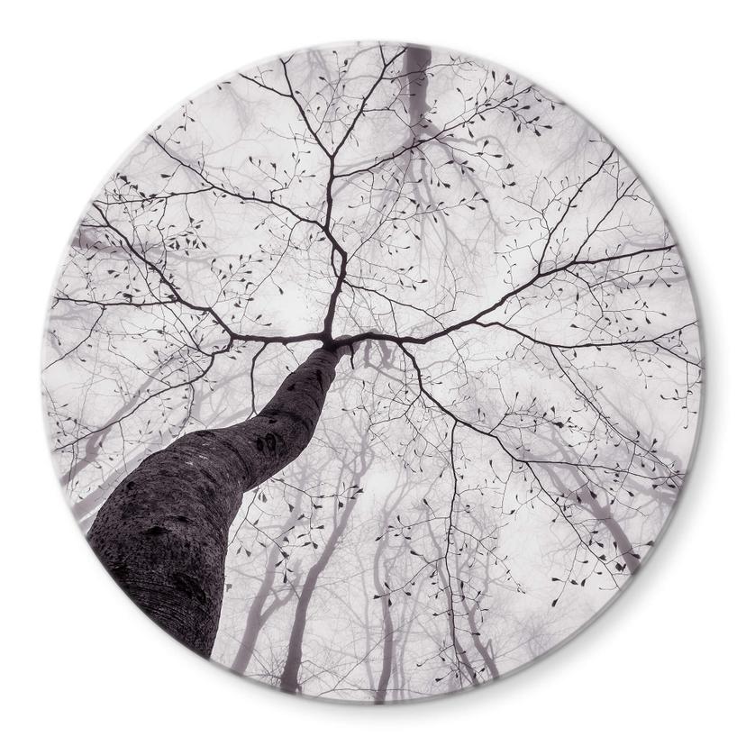 Stampa vetro Pavlasek - Sulle cime degli alberi
