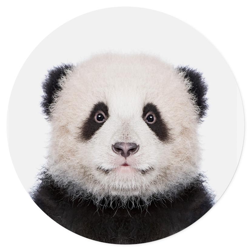 Adesivo murale Sisi & Seb - Baby Panda - Rotondo