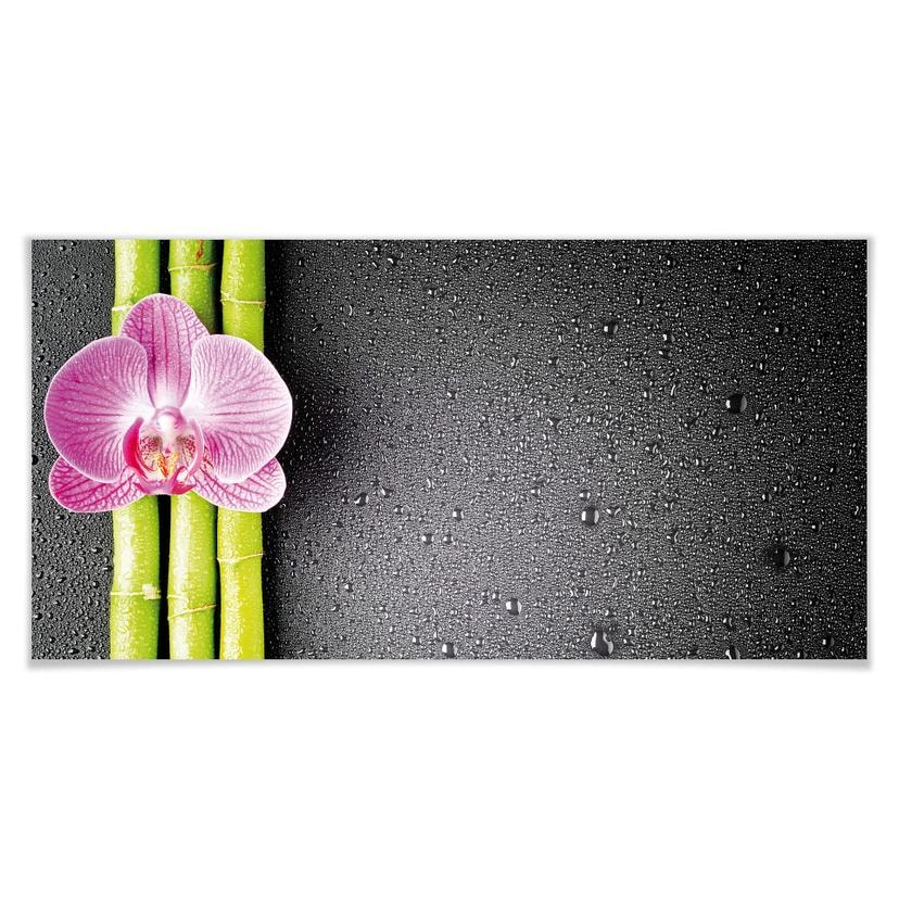 Póster Orquídea y bambú - Panorama 02