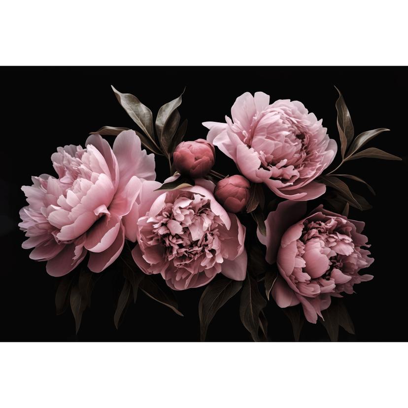Fotomurale Peonia rosa - Haase