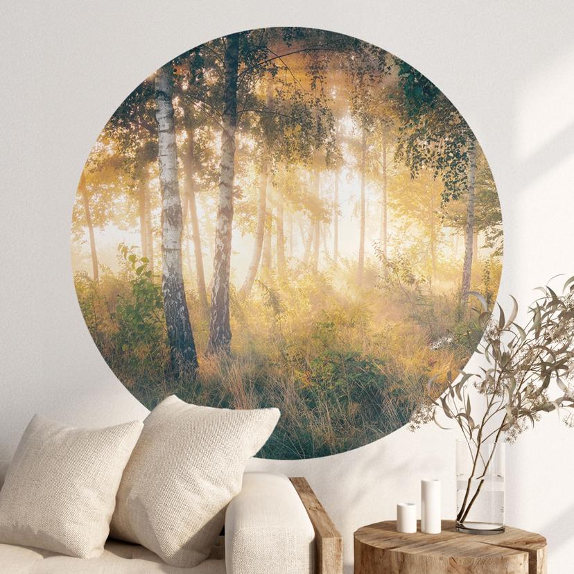 Wallsticker Solskin i birkeskoven - Kado - Rund