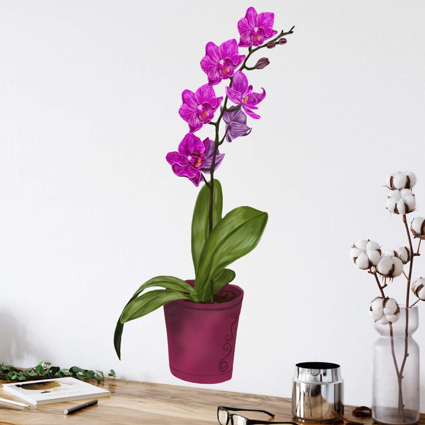 Wallsticker - Orkidé