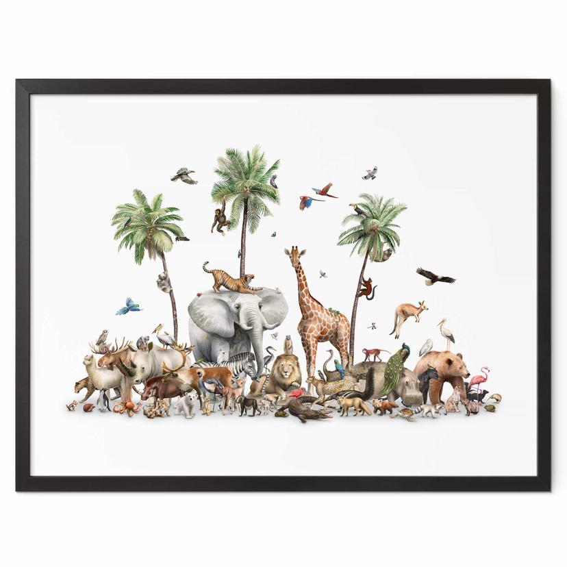 Póster Kikki Belle - Biodiversidad